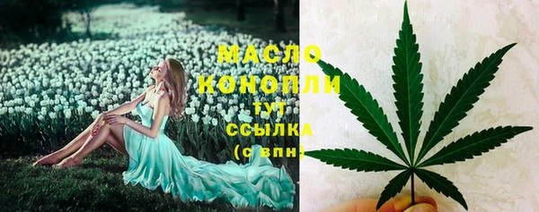 дживик Горнозаводск