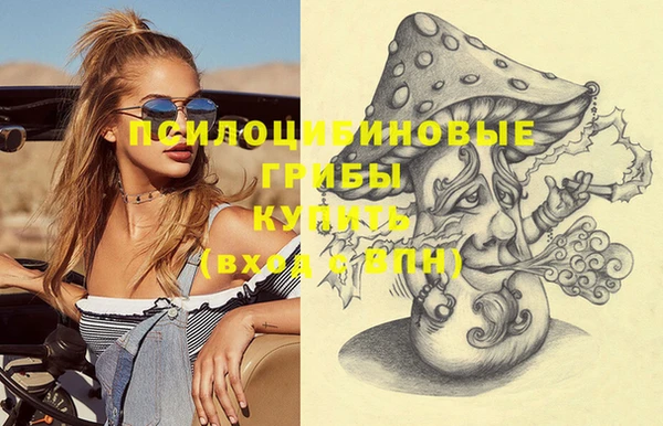 дурь Горняк